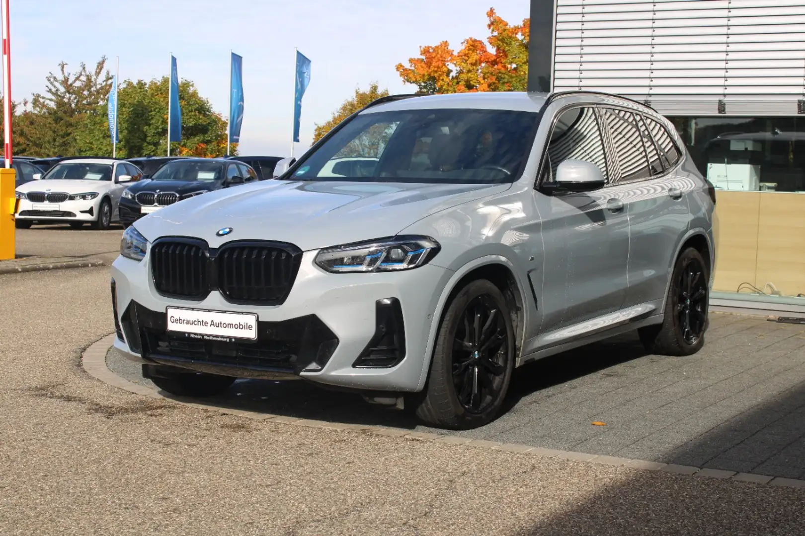 BMW X3 xDrive30d M Sport Laser AHK ACC Inno Kamera Grau - 1