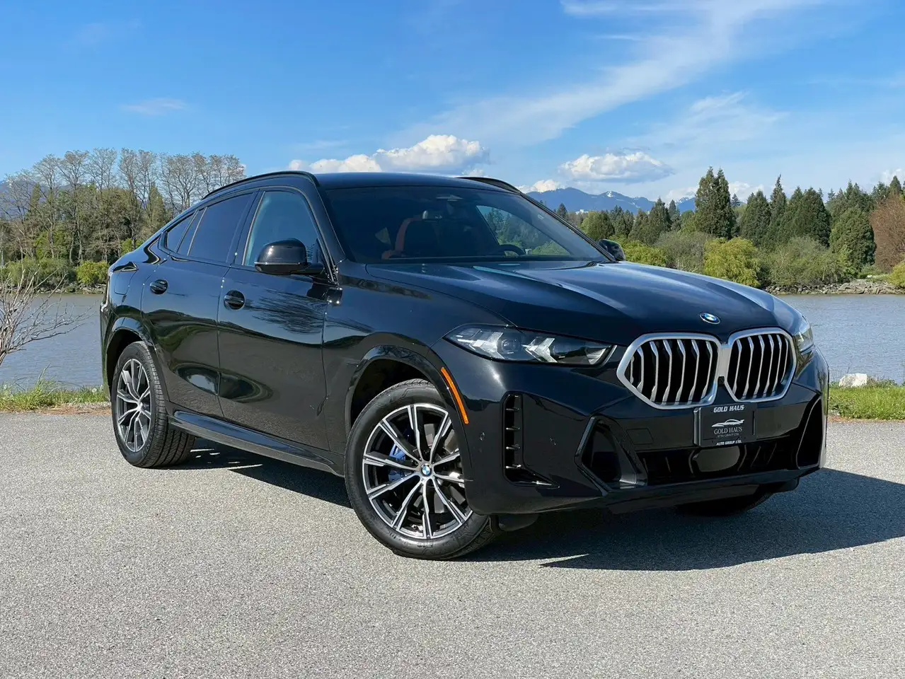 2024 BMW X6