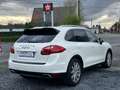 Porsche Cayenne 3.0 D V6 Tiptronic S PACK CHRONO ** Blanc - thumbnail 4