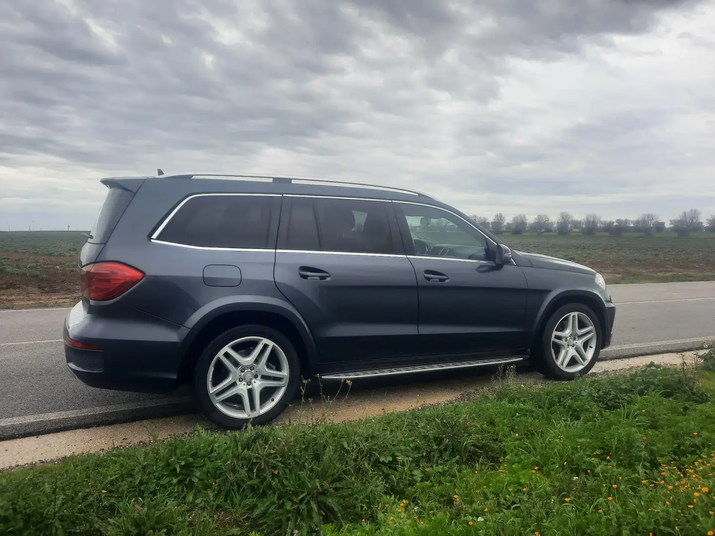 Mercedes-Benz GL 350 bt Premium auto Albastru - 2