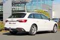 Audi A4 Avant 40TDI S-tronic APS+ AHK NAVI+ Weiß - thumbnail 26