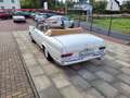 Mercedes-Benz 250 SE/C Cabrio Bianco - thumbnail 13