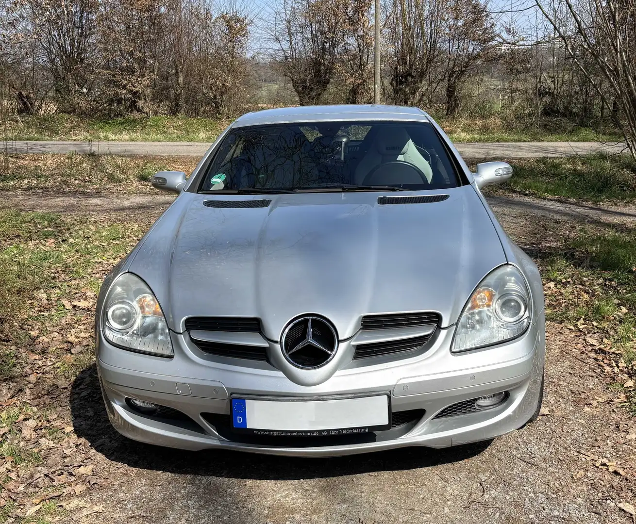 Mercedes-Benz SLK 200 Kompressor Automatik Срібний - 1