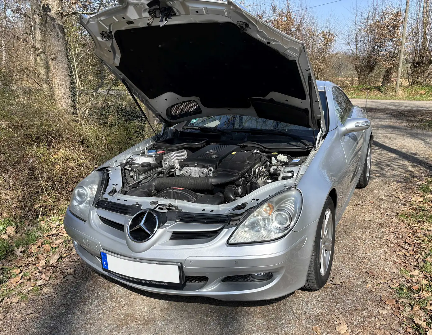 Mercedes-Benz SLK 200 Kompressor Automatik Срібний - 2