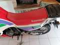 Kawasaki KL 650 Wit - thumbnail 5