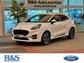 Ford Puma ST-Line+Navi+Kamera+BLIS+Winter-P. Weiß - thumbnail 1