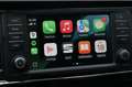 SEAT Ateca 1.5 TSI Xcellence / PANODAK / KEYLESS / CAMERA / B Weiß - thumbnail 14