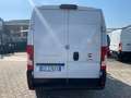 Fiat Ducato 33 2.3 MTJ 140 CV L2H2 Weiß - thumbnail 11