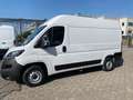 Fiat Ducato 33 2.3 MTJ 140 CV L2H2 Weiß - thumbnail 3