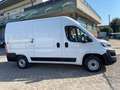 Fiat Ducato 33 2.3 MTJ 140 CV L2H2 Weiß - thumbnail 1