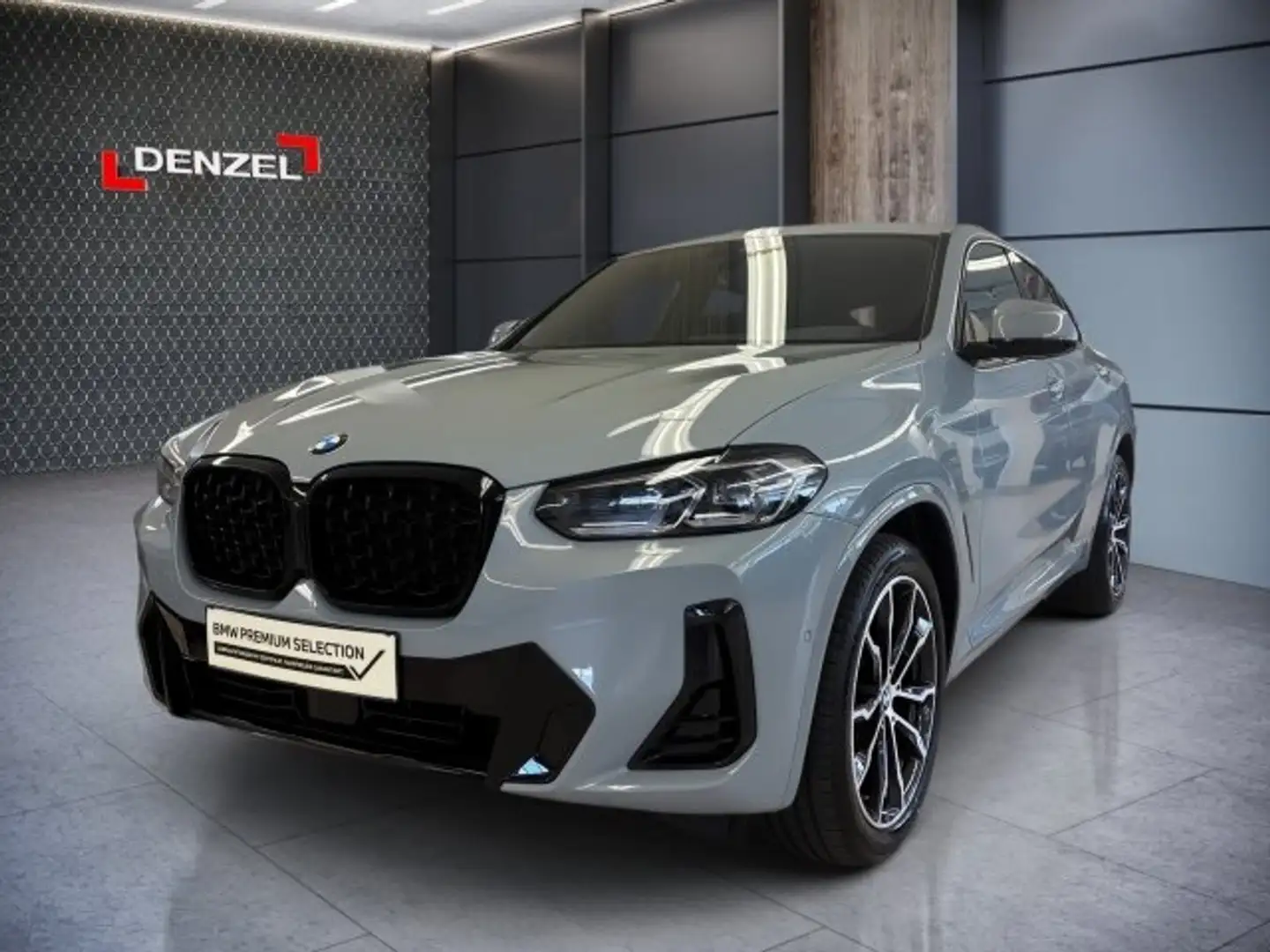 BMW X4 xDrive 20i G02 B48 Grau - 2