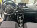 Kia Picanto 1.0 VISION MT Weiß - thumbnail 12