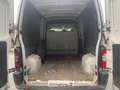 Opel Movano 2.5 Diesel 100CV  N1 AUTOCARRO 3 POSTI Bianco - thumbnail 15