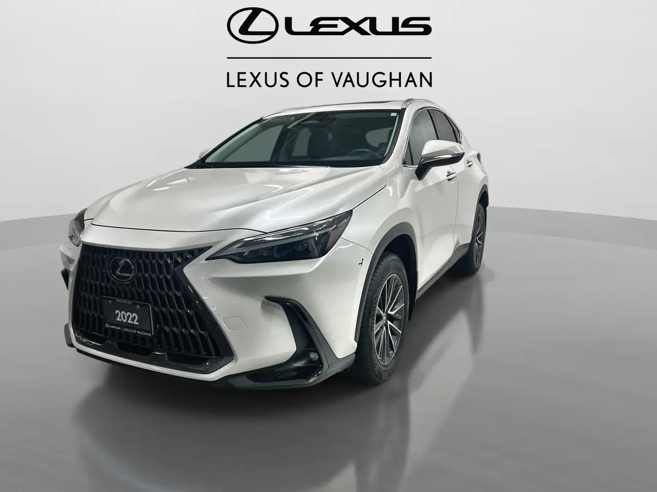 Lexus NX снимка Lexus NX