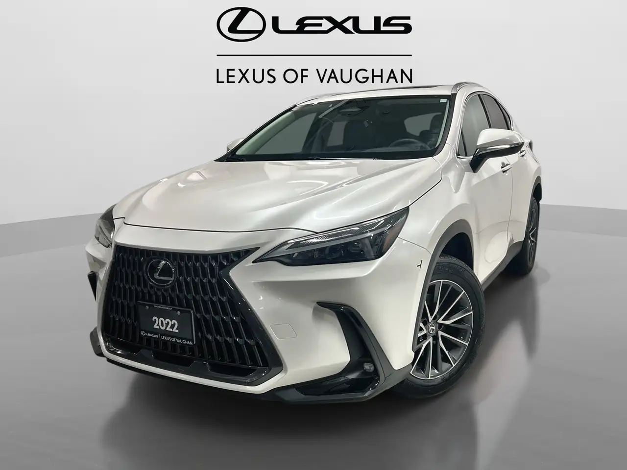 Lexus NX снимка Lexus NX
