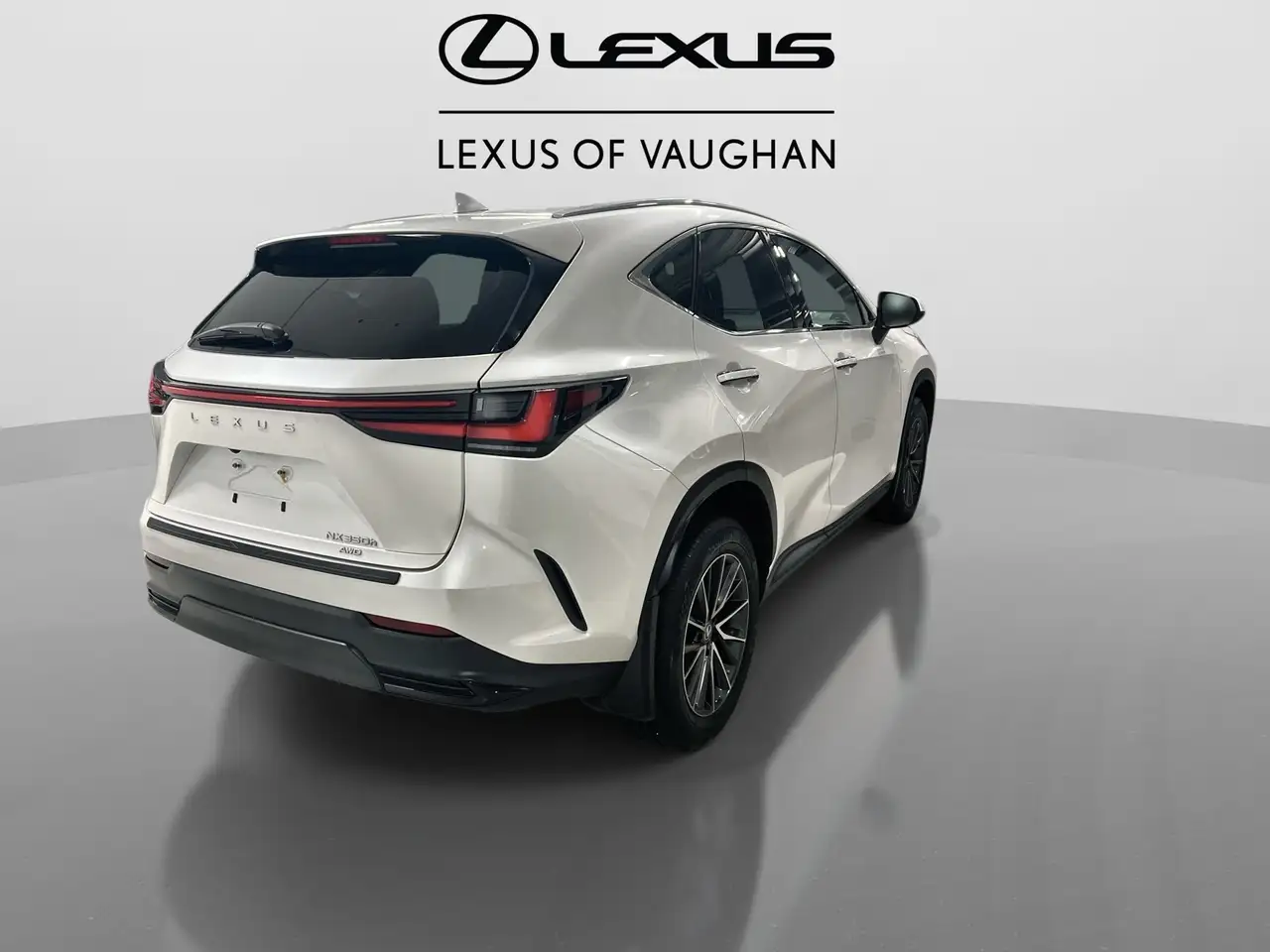 Lexus NX снимка Lexus NX