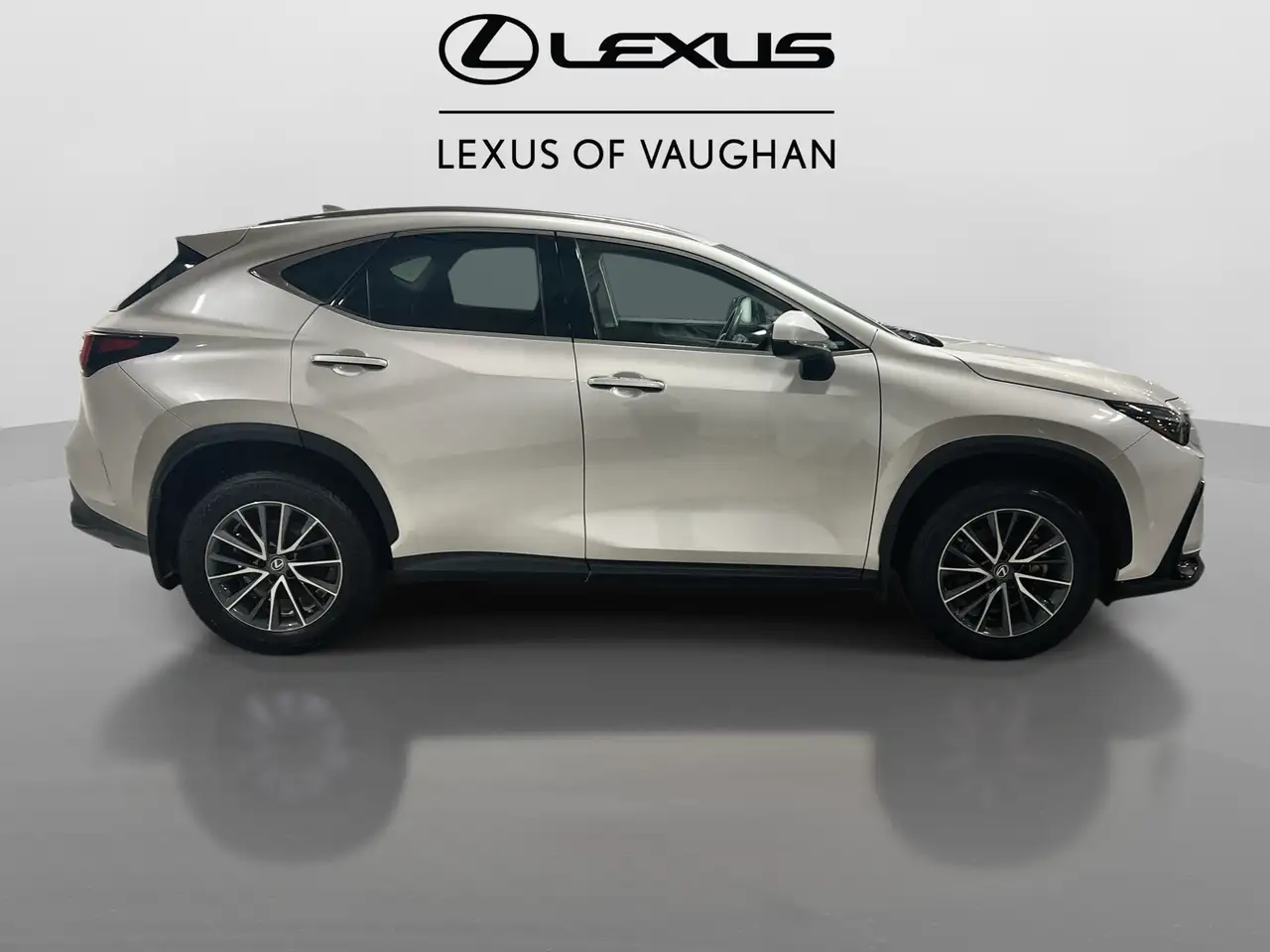 Lexus NX снимка Lexus NX