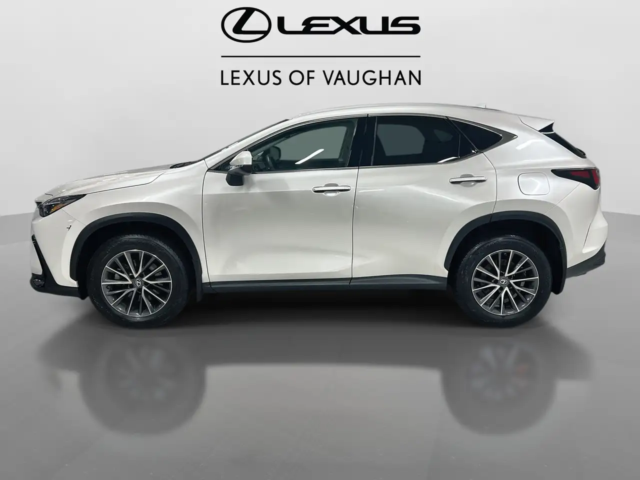 Lexus NX снимка Lexus NX