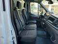 Ford Transit 350 2.0HDT 155 PM Furg.Isoter. Trend -20 FRIGO White - thumbnail 8