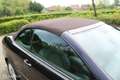 Mercedes-Benz CLK 280 Cabrio Elegance Negro - thumbnail 40