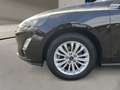 Ford Focus Titanium X 1,5 EcoBoost 134kW Tur. Auto Tu - thumbnail 12