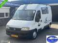 Fiat Adria Wit - thumbnail 2