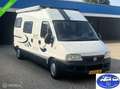 Fiat Adria Wit - thumbnail 3
