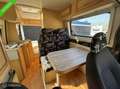 Fiat Adria Wit - thumbnail 9