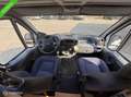 Fiat Adria Wit - thumbnail 8