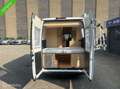Fiat Adria Wit - thumbnail 6