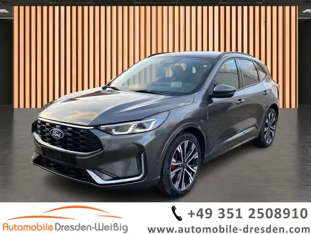 2025 Ford Kuga in Grey for sale