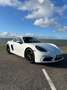 Porsche 718 - thumbnail 8