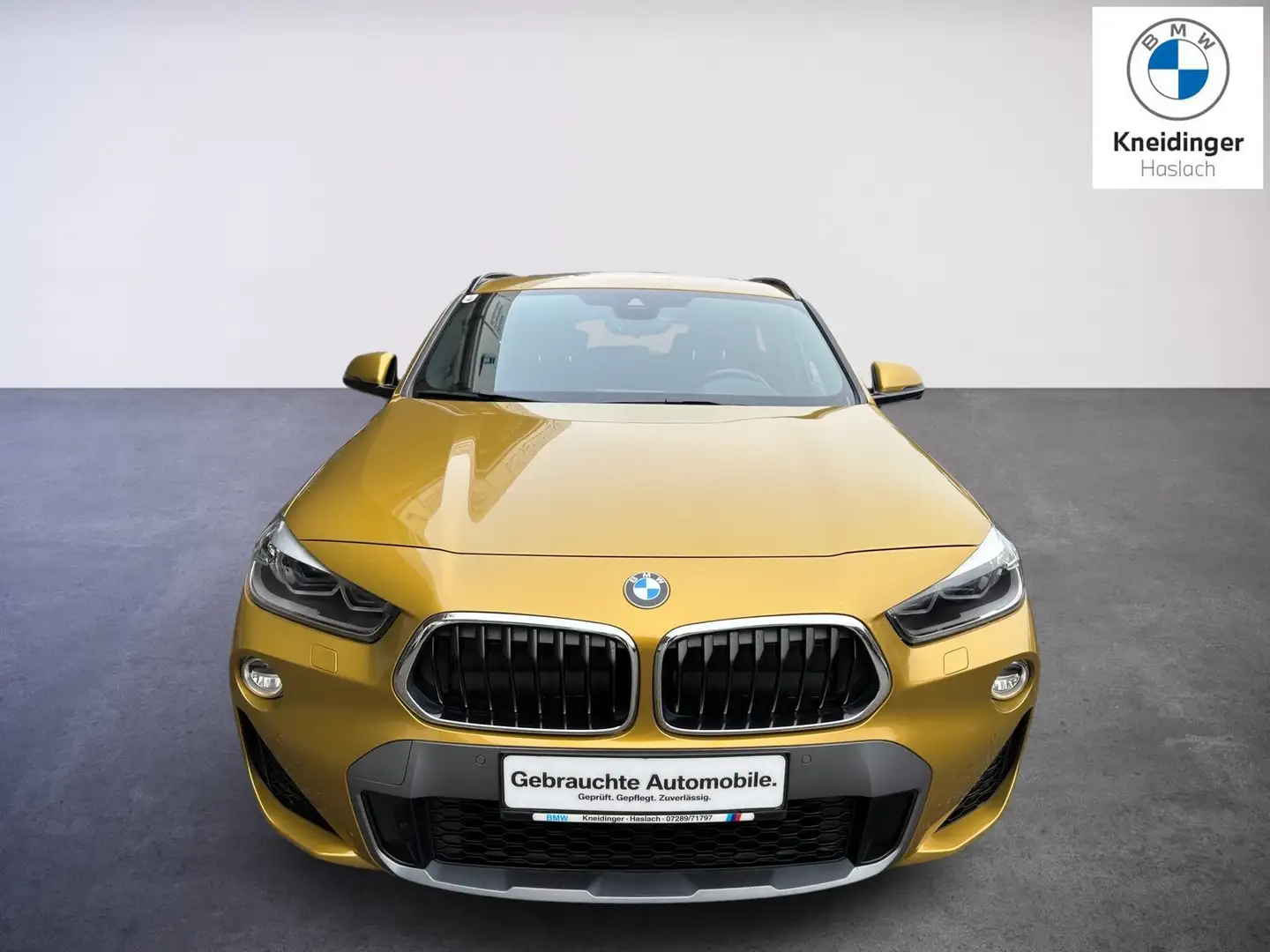 BMW X2 xDrive20d Gold - 2