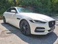 Jaguar XE XE D200//LEDER//KAMERA//8FACH ALU// Wit - thumbnail 2