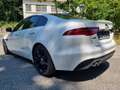 Jaguar XE XE D200//LEDER//KAMERA//8FACH ALU// Wit - thumbnail 3