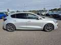 Ford Focus 1.5 EcoBlue 115ch ST-Line X BVA8 Grau - thumbnail 4