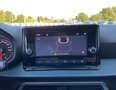 SEAT Arona 1.0 TGI XPERIENCE Bianco - thumbnail 16