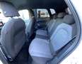 SEAT Arona 1.0 TGI XPERIENCE Bianco - thumbnail 12