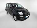 Fiat Panda 1.2 Noir - thumbnail 2