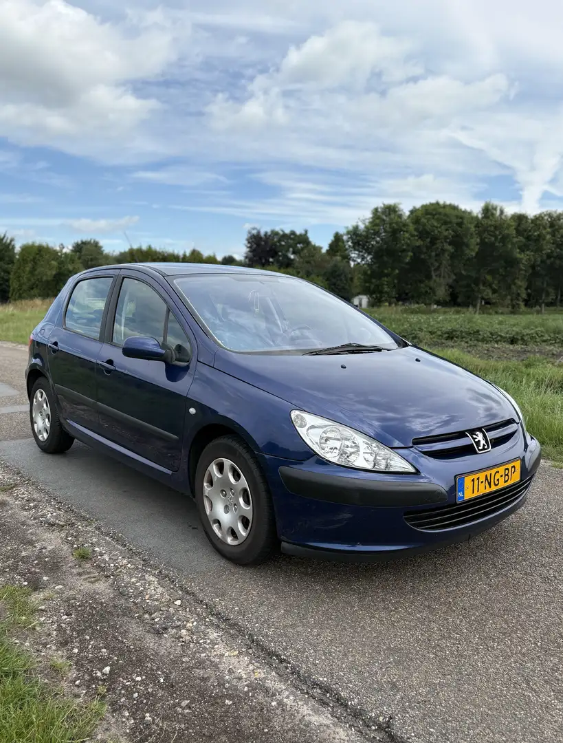 Peugeot 307 1.6-16V XT Blauw - 1