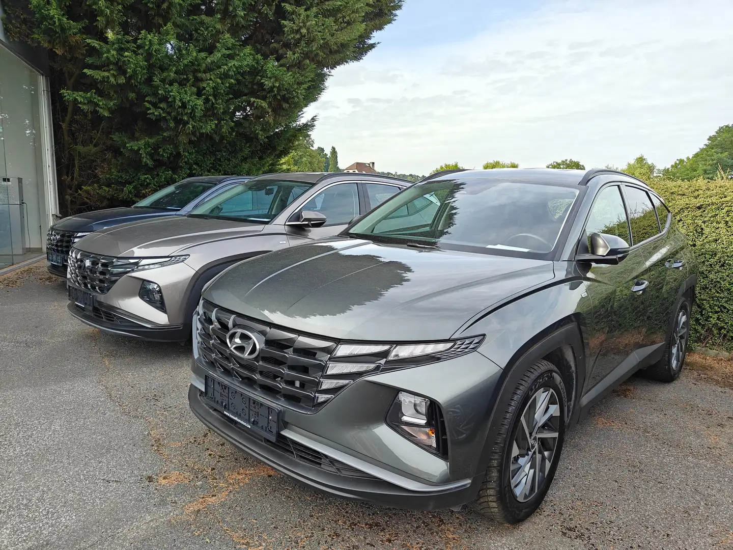Hyundai TUCSON TUCSON 1.6 T-GDi 48V-Hybrid 2WD DCT Trend Gris - 1