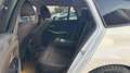BMW 320 Serie 3 G21 2019 Touring 320d Touring xdrive Wit - thumbnail 14