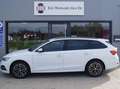 Skoda Octavia Ambition Blanc - thumbnail 2