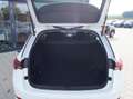 Skoda Octavia Ambition Blanc - thumbnail 5