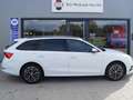 Skoda Octavia Ambition Blanc - thumbnail 3