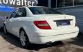 Mercedes-Benz C 300 Lim. CDI BlueEfficien 4Matic Standheizung Blanco - thumbnail 9
