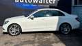 Mercedes-Benz C 300 Lim. CDI BlueEfficien 4Matic Standheizung Blanco - thumbnail 6