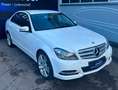 Mercedes-Benz C 300 Lim. CDI BlueEfficien 4Matic Standheizung Blanco - thumbnail 4
