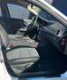 Mercedes-Benz C 300 Lim. CDI BlueEfficien 4Matic Standheizung Blanco - thumbnail 13