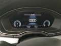 Audi Q5 40 TDI quattro RFK HUD Pano AHK B&O Navi LM Negro - thumbnail 12